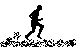files/images/runner1.gif